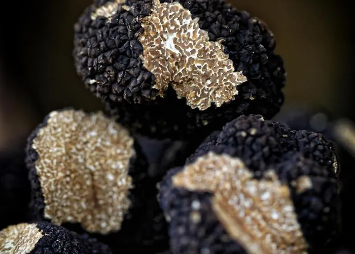 Logis Des Moissons 3*